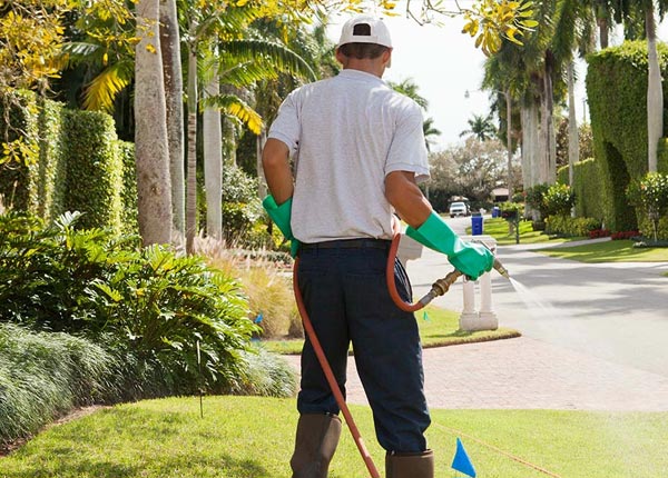 About Wiconisco PA Pest Control